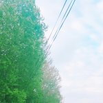 [방탄소년단] 이것도 스포인지는 모르겠는데