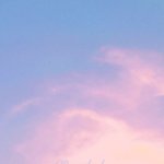 [EXO] <b>글자</b>붙여옴