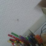 ㅅㅂ 모기때문에 깼는데 미친;