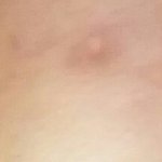쌍수5일찬데봐주라(혐주의)