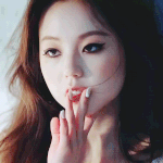 ㄹㅇ고양이상의 <b>정석</b>(할말잃음주의)