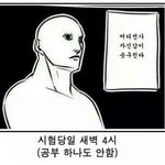 [드루와] 얘들아 진짜 쇼핑몰 가격면에서 <b>갑</b>은