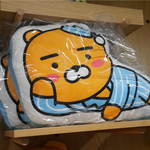 라이언 좋아하시는 분!!! >_<