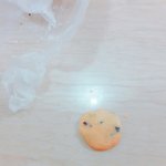 [EXO] <b>졸라</b> 개ㅅㅣ발맛있겠지