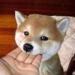 [댓글부탁해] 클린솝 <b>세탁</b>건조 추반