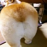 [댓글부탁해] <b>향수</b> 추천 좀!