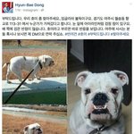 [드루와] 빅뱅 태양 형 <b>애완견</b> 잃어버렸대