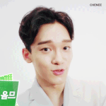 [CHEN] 네이처<b>리퍼</b>브릭 영상움짤