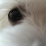[드루와] 나지금 <b>스펙</b>이