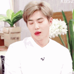 [EXO] <b>하품</b>하다입찢어져서아픈김준면같다. ,