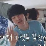 [세븐틴] ㅅㄷ 유튭에 또 빠지고 말았다.....