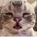 난쟁이 귀여운 <b>볼살</b>에다 뽀뽀하고싶어