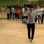[세븐틴] 이움짤잇는캐럿?!