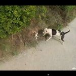 솜방망이 처벌도 처벌인가?