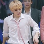 [세븐틴] 캐럿들아 이거알아?