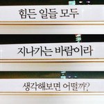 패스트<b>샴푸</b>질문좀 ㅠㅠㅠ