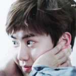 [EXO] 근데 진심 엑소