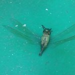 [댓글부탁해] 나 키 좀 작아보여?ㅜㅜ