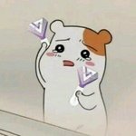 [드루와] 우리동네 비<b>오짐</b> ㄷㄷ