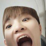 [세븐틴] 세븐틴 ㅊㅔ고 <b>조용</b>한애
