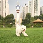 <b>말썽</b>쟁이 우리 로비니를 소개합니다