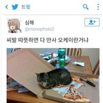 [댓글부탁해] 파라노말샵 빡오 여친이랑 헤어짐...?