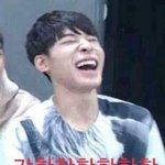 [세븐틴] 콘서트가는 캐럿들, 못가는캐럿들..