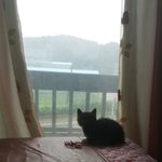 [고양이] 원치않던 <b>집사</b>가되었습니다 02