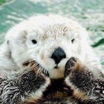 [댓글부탁해] 보고 펑펑울정도로 슬픈영화뭐있어?