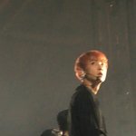 [EXO] 열이 머리 <b>자몽</b>