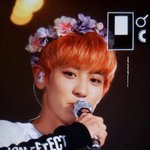 [EXO] 와 박찬열 오지는데?