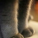 [ㅁㅊ] 꿈에서 나온 사람 얼굴 <b>흐릿</b>하면 배우자라고?