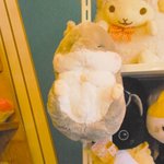 [세븐틴] ㅅㄷ)다음 호시생일때