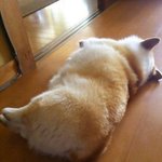 다이어트 1일차