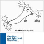 정관수술 후유증.JPG