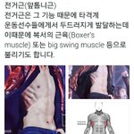 [EXO] 변백현 갈비뼈 보인다고 하는 <b>련들</b> 이거나봐라