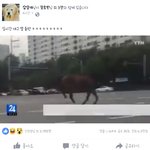 [EXO] <b>대구</b>사는애들아 ㄹㅇ임??