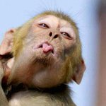 [조언부탁해] 나는 평생 짝<b>녀랑</b> 못 이루어 질거같다 ㅋㅋ