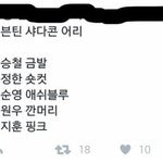 [세븐틴] 그래서 이거 뻥임??