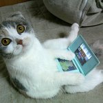 <b>외형</b>은 이렇게생기면됨
