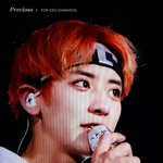 [EXO] 아니진짜 애니 <b>남주</b>아니냐고