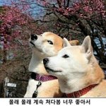 [드루와] 안 쓰는 문화상품권 있는 사람