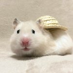 [댓부] 야 고소<b>취하</b> 사실임?
