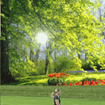 생활속의 "도"음식 꼭꼭 씹어라