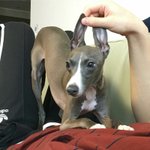 [댓글부탁해] 내가 생일에 조금 <b>집착</b>하는데ㅜㅠㅠㅜㅠ