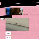 <b>반톡</b>에서 왜이러는거야;?(사진ㅇ)