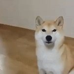 테<b>런</b>같이할사람