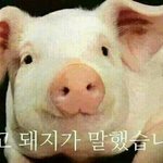 [드루와] 8월 1일 다이어트!!