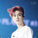 [EXO] 이얼굴에서 <b>항문</b> 똥꼬 거린거 조카 매력있다