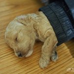 <b>막대</b>하고 무시하는 사람에게 대응하는 방법